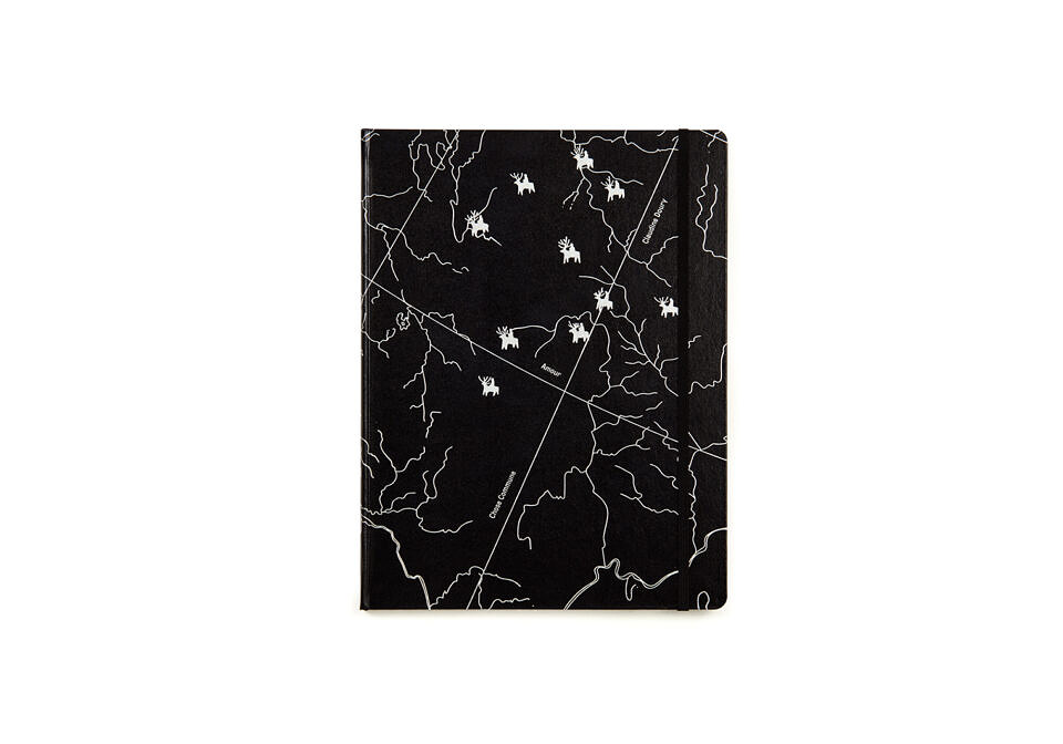 Amour - First edition