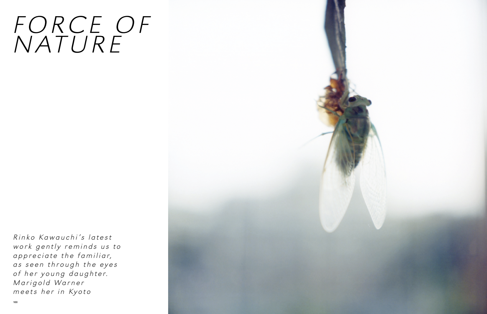 The British Journal of Photography