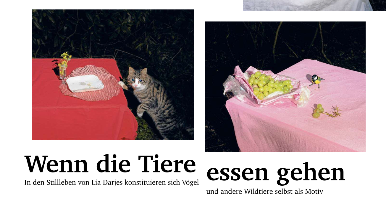 nd.DerTag/nd.DieWoche