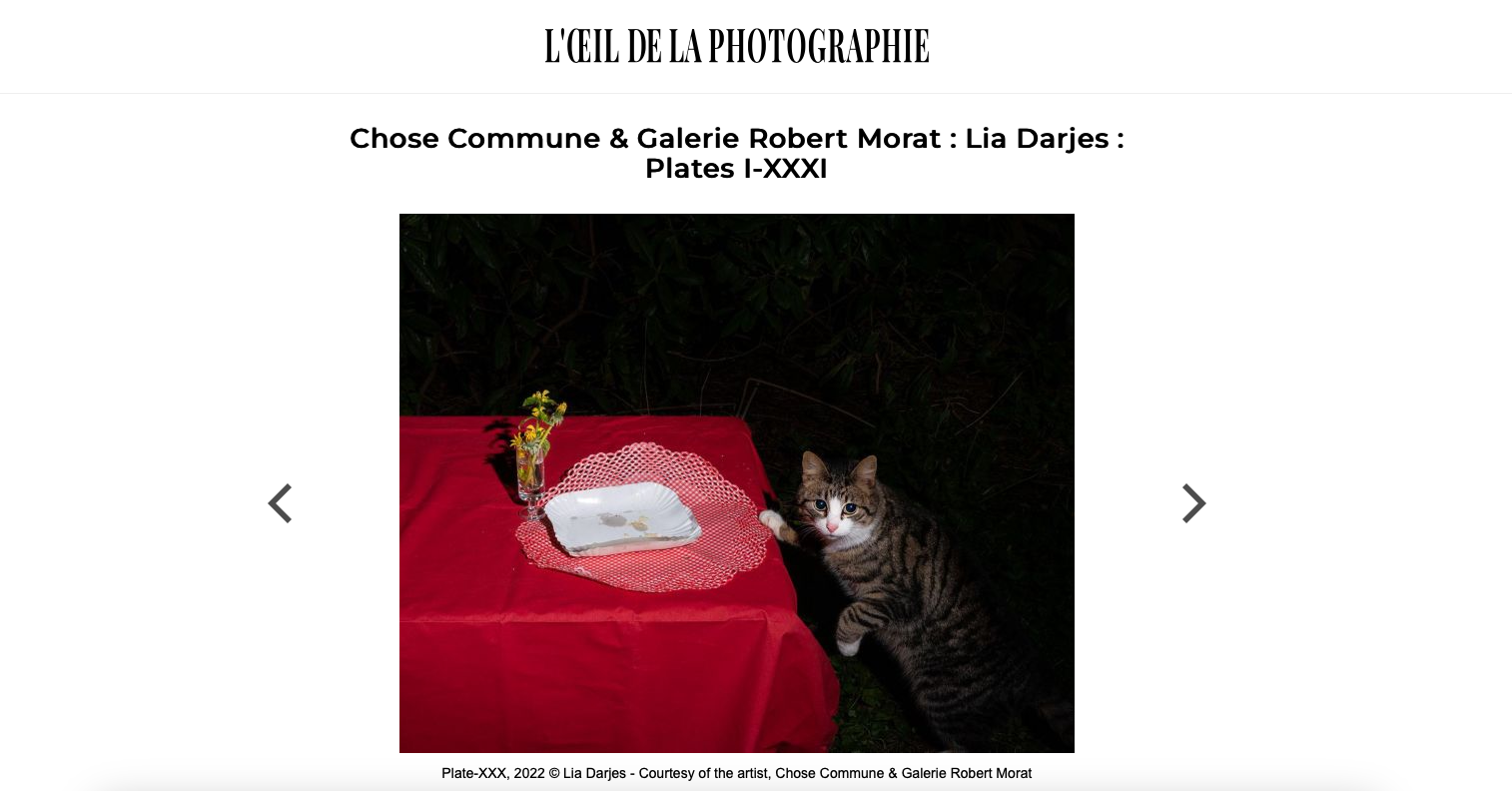 L’œil de la photographie