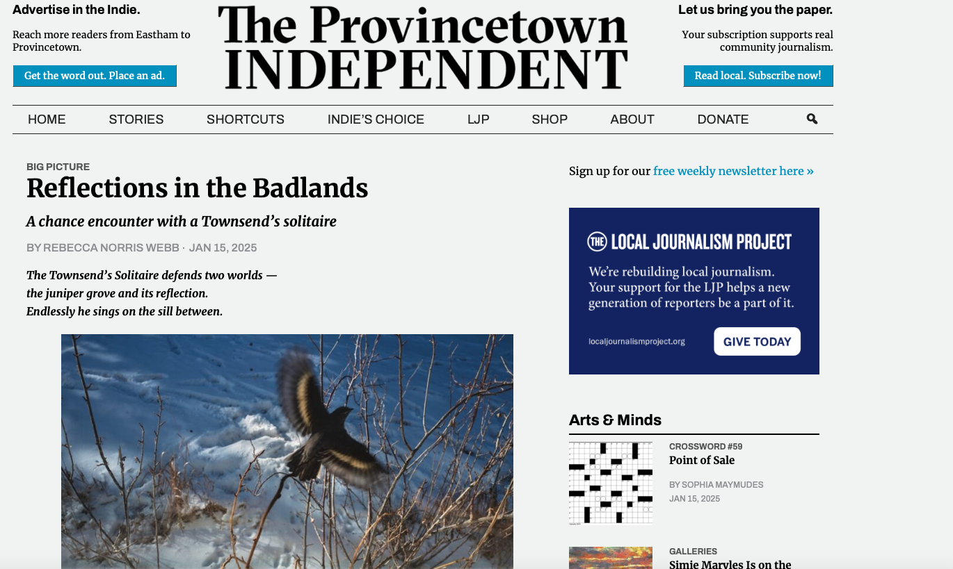 The Provincetown Independent