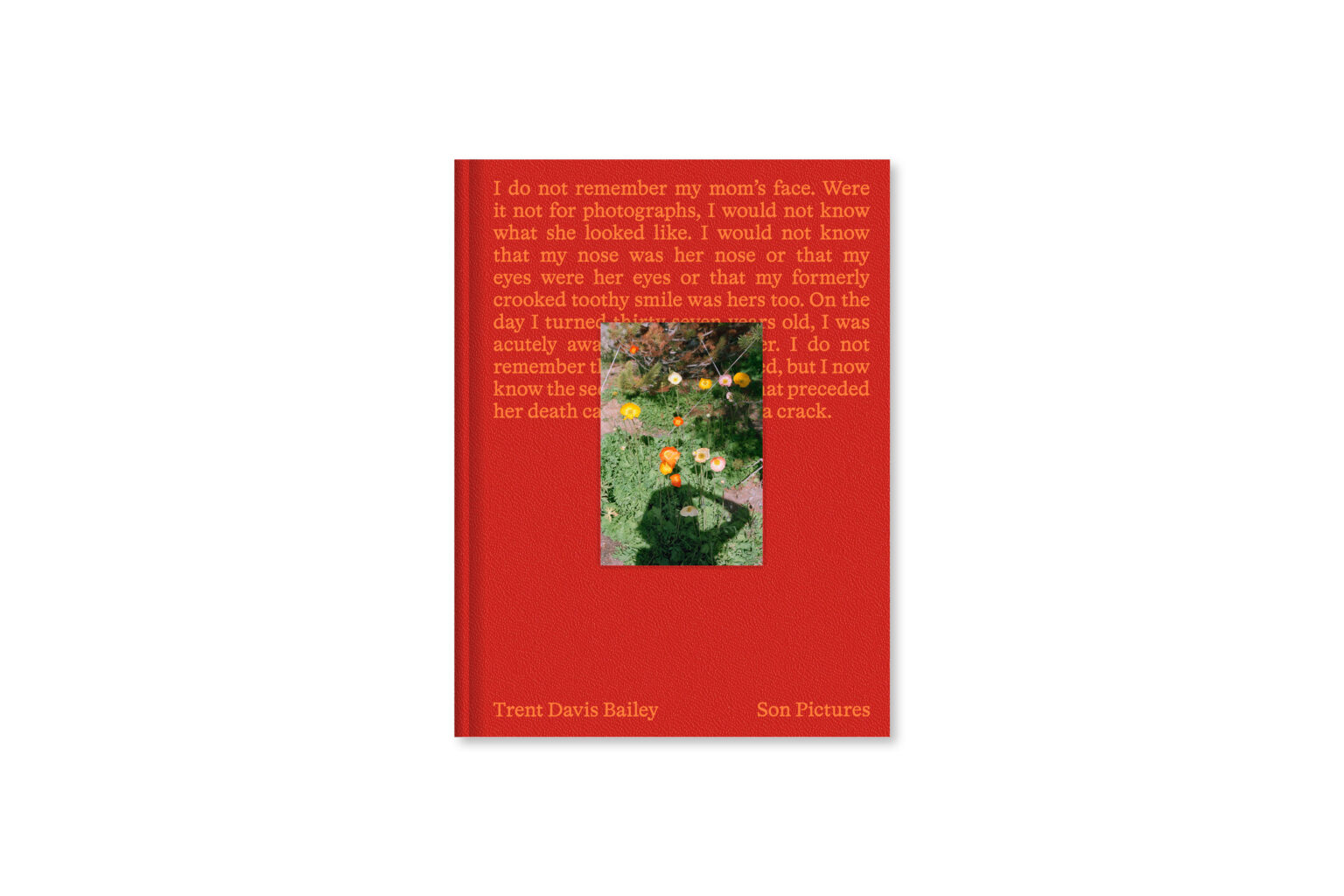 Son Pictures - 